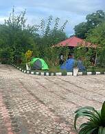 Mkomazi Hotels and Campsite