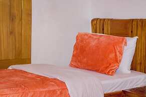 Mkomazi Hotels and Campsite