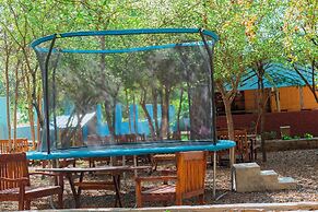 Mkomazi Hotels and Campsite