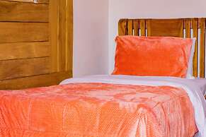 Mkomazi Hotels and Campsite