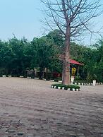 Mkomazi Hotels and Campsite