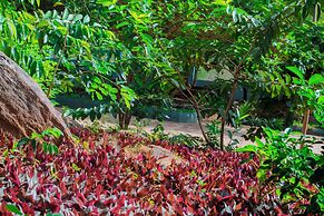 Mkomazi Hotels and Campsite
