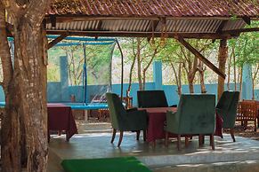 Mkomazi Hotels and Campsite