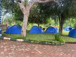 Mkomazi Hotels and Campsite