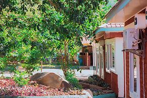 Mkomazi Hotels and Campsite