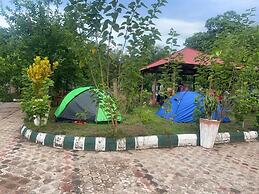 Mkomazi Hotels and Campsite