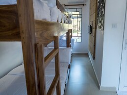 Mkomazi Hotels and Campsite