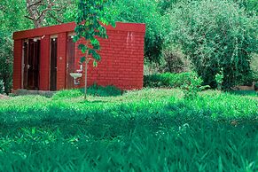 Mkomazi Hotels and Campsite