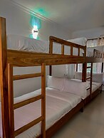 Mkomazi Hotels and Campsite