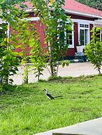 Mkomazi Hotels and Campsite