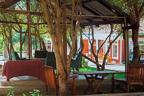 Mkomazi Hotels and Campsite