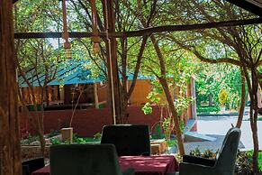 Mkomazi Hotels and Campsite