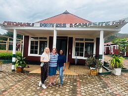Mkomazi Hotels and Campsite