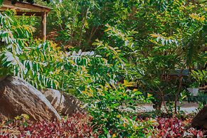 Mkomazi Hotels and Campsite