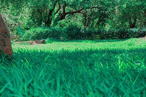 Mkomazi Hotels and Campsite