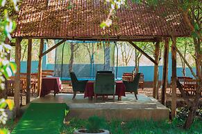 Mkomazi Hotels and Campsite