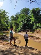 Mkomazi Hotels and Campsite