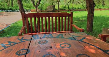 Mkomazi Hotels and Campsite