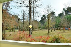 Colourful Seaside Flat With Pool on the Rooftop