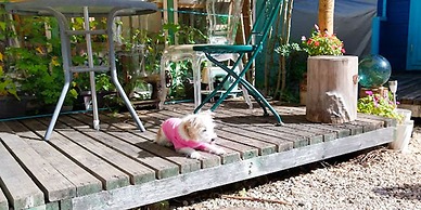 Forest Cottage Kesennuma