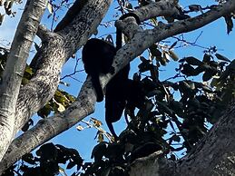 Peaceful Apartment in Tamarindo, 50m to the Beach