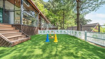 Gapyeong Daengdaengi Dog Pension Silver