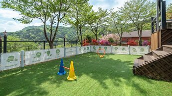 Gapyeong Daengdaengi Dog Pension Silver