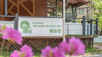 Gapyeong Daengdaengi Dog Pension Silver