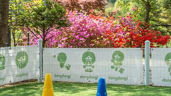 Gapyeong Daengdaengi Dog Pension Silver