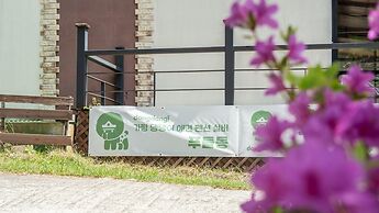 Gapyeong Daengdaengi Dog Pension Silver