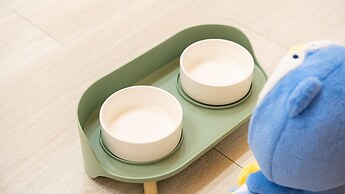 Gapyeong Daengdaengi Dog Pension Silver