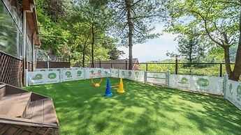 Gapyeong Daengdaengi Dog Pension Silver