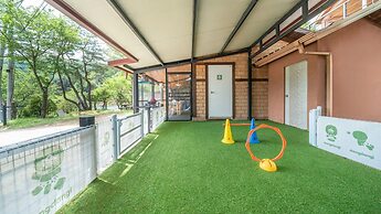 Gapyeong Daengdaengi Dog Pension Silver