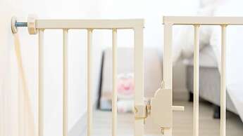 Gapyeong Daengdaengi Dog Pension Silver