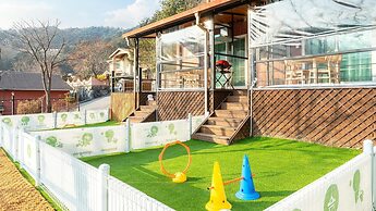 Gapyeong Daengdaengi Dog Pension Silver