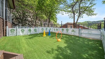 Gapyeong Daengdaengi Dog Pension Silver