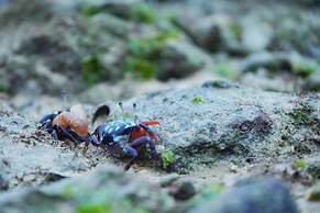 Blue Shallows Onnason Resort
