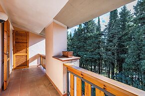 Casa Acone In Mugello - Near Florence