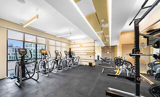 Luxury Suite by CN Tower & Free Parking