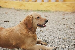 Naya Gaun Eco Resort