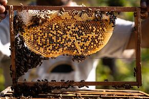 Naya Gaun Eco Resort