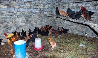 Naya Gaun Eco Resort