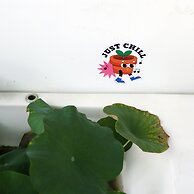 Duck Homestay BenTre