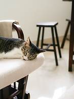 Duck Homestay BenTre