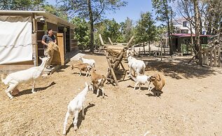 Quinta de São Pedro
