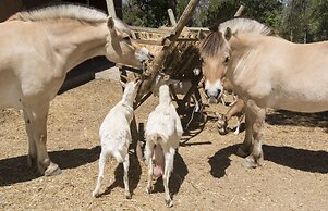 Quinta de São Pedro