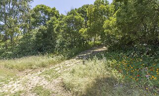 Quinta de São Pedro