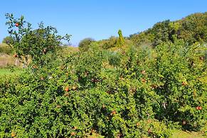 Villa Sofia Stella in Ionian Islands