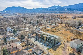 Chipmunk Father Dave