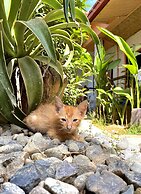 Jungle Hostel El Nido